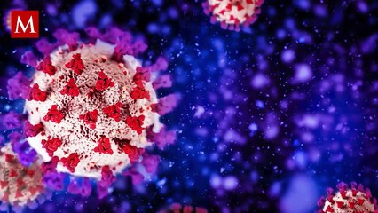 Pirola del covid-19: ¿Cómo afecta y qué tan preocupante es esta nueva variante?