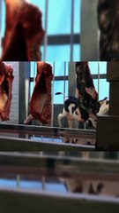 The Reality is here. They too have the feeling.