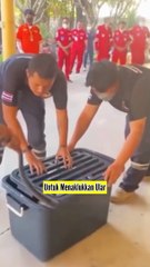 Menaklukkan Ular Cobra Yang Liar Dengan Box Baju Bekas