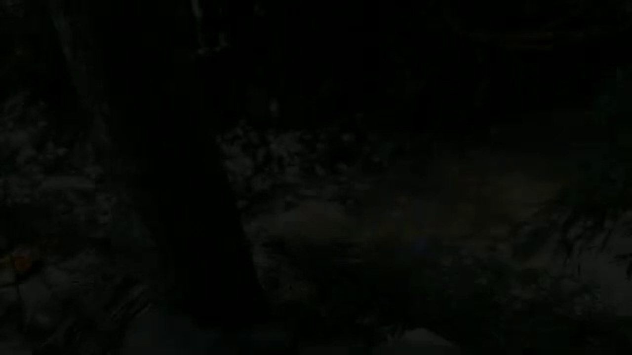 Selamat datang di petualangan seru bersama Dodo Dino!