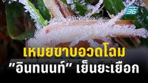 เหมยขาบอวดโฉม”อินทนนท์”เย็นยะเยือก | เที่ยงทันข่าว | 19 ธ.ค. 66