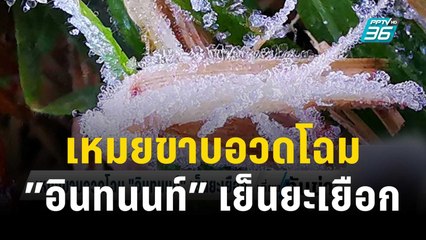 เหมยขาบอวดโฉม”อินทนนท์”เย็นยะเยือก | เที่ยงทันข่าว | 19 ธ.ค. 66