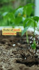 Financial Forecasting Predicting Prosperity