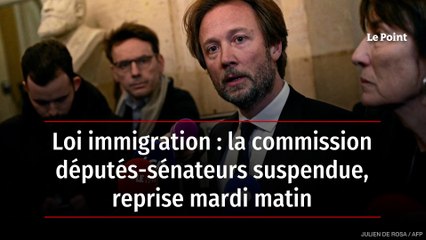 Loi immigration : la commission députés-sénateurs suspendue, reprise mardi matin