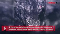 ‘Pisi pisi’ diyerek çağırdı! Şoke eden gerçeği sonradan fark etti