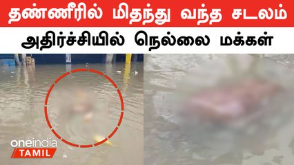 நெல்லை சந்திப்பு பேருந்து நிலையம் அருகே வெள்ள நீரில் மிதந்து வந்த அடையாளம் தெரியாத சடலம்