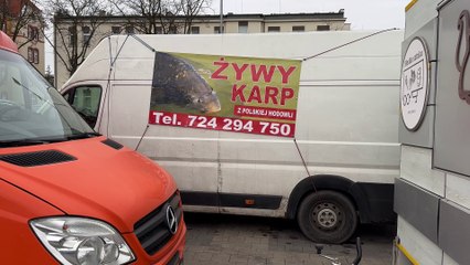 Ile za świątecznego karpia w Głogowie?