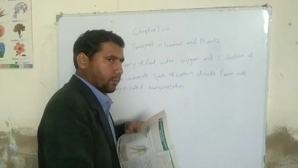 Chapter two transport system in human and plants part2