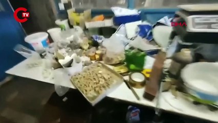 İstanbul'da kaçakçılık operasyonu: Fildişi, antilop, mamut ve geyik boynuzları ele geçirildi!