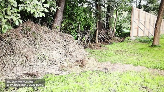 Ruszyło śledztwo w sprawie wycinki trzcin nad Jeziorem Charzykowskim