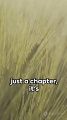 Unveiling Matthew 13 A Quick Dive