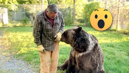 Amazing Juggling Skills & Incredible Sea Turtle Talents | Best of the Internet ✨