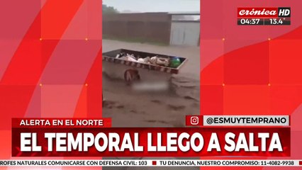 El temporal llegó al norte y arrasó con la provincia de Salta
