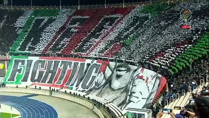 من المدرجات | تيفو أنصار مولودية الجزائر أمام بارادو