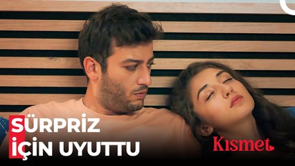 Roza'nın Yürek Burkan Hikayesi - Kısmet