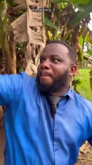 SABINUS FALLS IN LOVE WITH BOBRISKY THE SENIORMAN