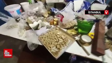 İstanbul’da hayvan diş ve boynuzu ticareti yapan kaçakçı yakalandı