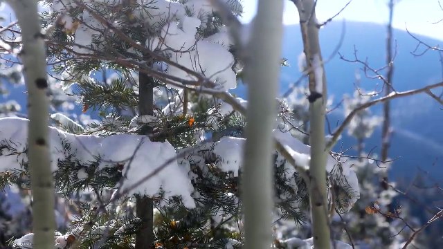 Peaceful Instrumental Christmas Music_ Relaxing music _Hark_ The Herald Angels Sing_ Tim Janis(720P_HD)