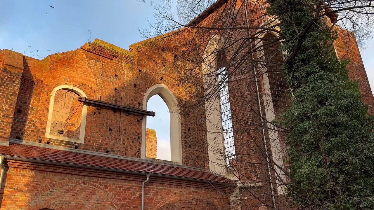 Głogów: Projekt "Święty Mikołaj - Historia prawdziwa"