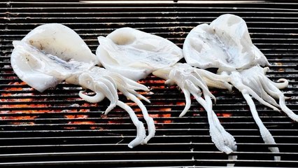 Quand les calamars et les seiches se font un sang d'encre