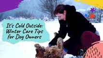 It's Cold Outside ! Winter Care Tips for Dog Owners ❄