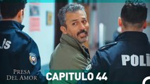 Presa Del Amor Capitulo 44  (Español Doblado)