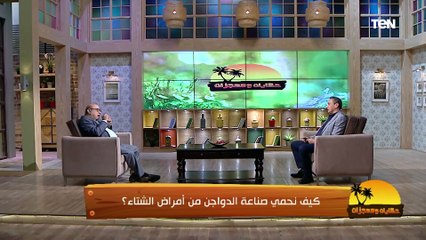 الكلام ده مهم لـ اللي بيربوا الدواجن.. ازاي تقوي مناعة الدواجن ودرجة الحرارة المناسبة لهم في الشناء