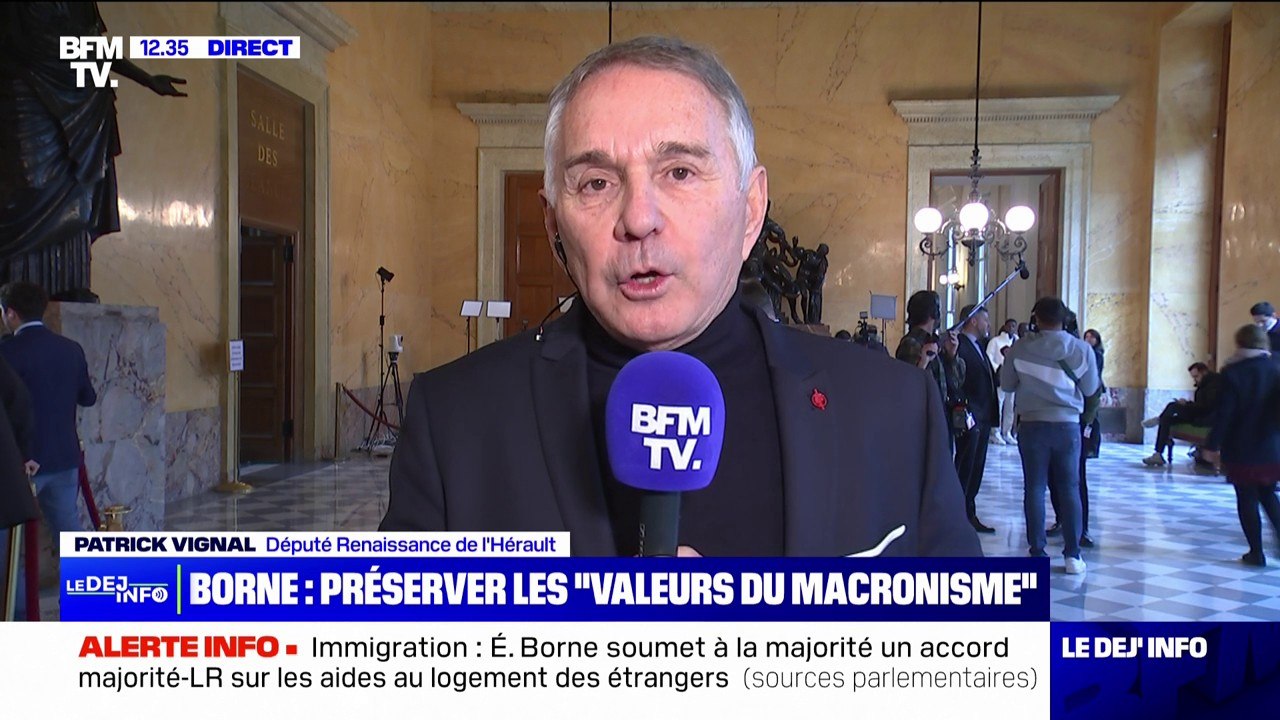 Loi immigration: "La responsabilité, elle restera au sein de la Nupes", selon Patrick Vignal (Renaissance)