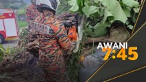2 maut kereta, motosikal dihempap pokok tumbang