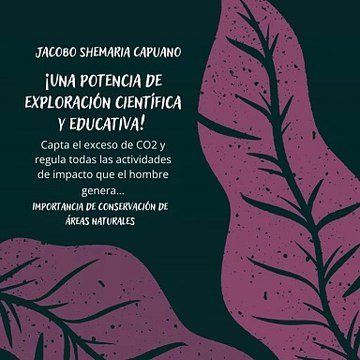 -Jacobo Shemaria Capuano- Importancia de conservación de áreas naturales: (Parte 1) (Creado por @JacoboShemariaCapuano)
