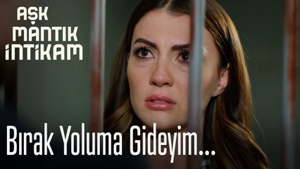 Bırak yoluma gideyim - Aşk Mantık İntikam
