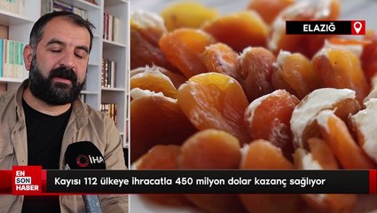 Kayısı 112 ülkeye ihracatla 450 milyon dolar kazanç sağlıyor
