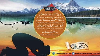 ALLAH | Quote of  Mola Ali as about ALLAH  and Touheed in Urdu Hindi