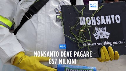 Usa: scuola esposta a sostanze nocive, la Monsanto deve pagare un risarcimento