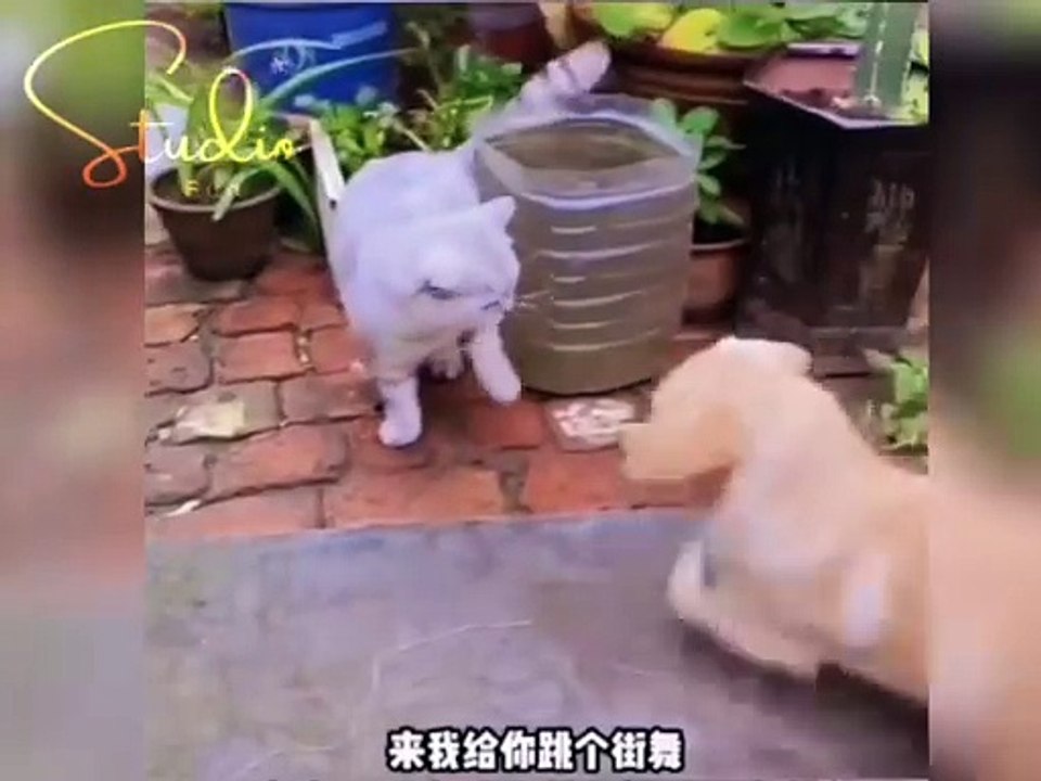 Funny show121905