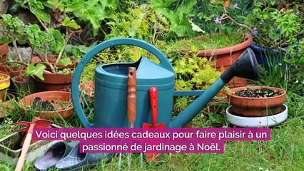 5 idées de cadeaux pour un amateur de jardinage