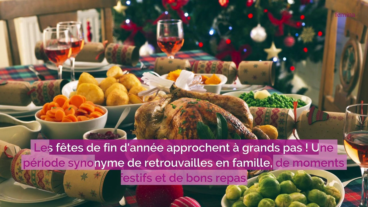 6 aliments de Noël dangereux pour votre chien