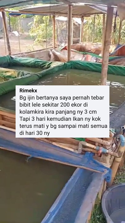 Penutup kolam itu WAJIB atau TIDAK❓Simak penjelasannya agar kalian faham