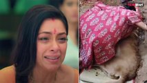 Anupamaa Fame Rupali Ganguly ने रोते हुए अपने Pet Dog गब्बर को दी विदाई, Video देख रो पड़े Fans |