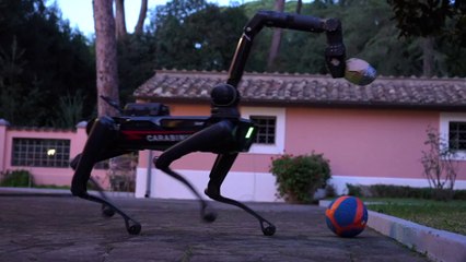 Arruolato "Saetta", primo cane robot dei Carabinieri