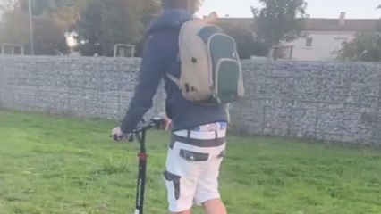 Pint-sized doggo's tremendous excitement to reunite with owner has hilarious consequence