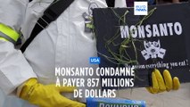 USA : Monsanto condamné à payer 857 millions de dollars