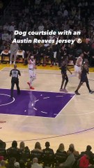 Cutest Lakers fan ever - non-debatable