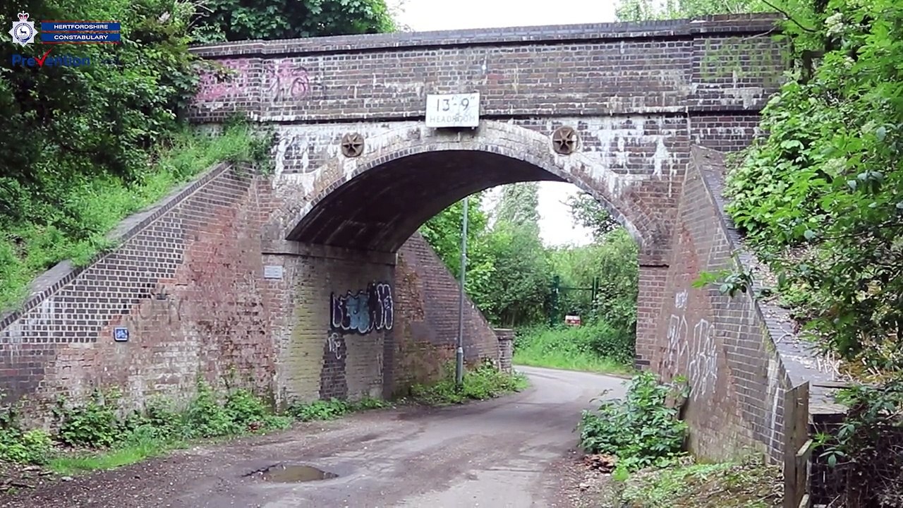Watch the moment a Dunstable man was arrested for kidnap and sex assaults on teenage girls