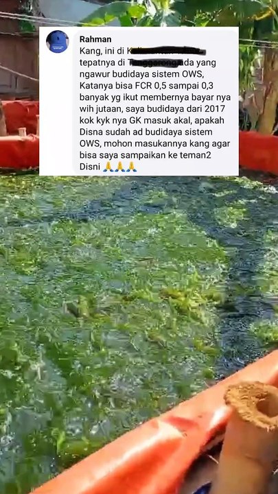 Ada Sistem TERBARU dalam budidaya ikan lele, katanya FCR bisa 0,5 bahkan 0,3  Sistem apakah itu❓