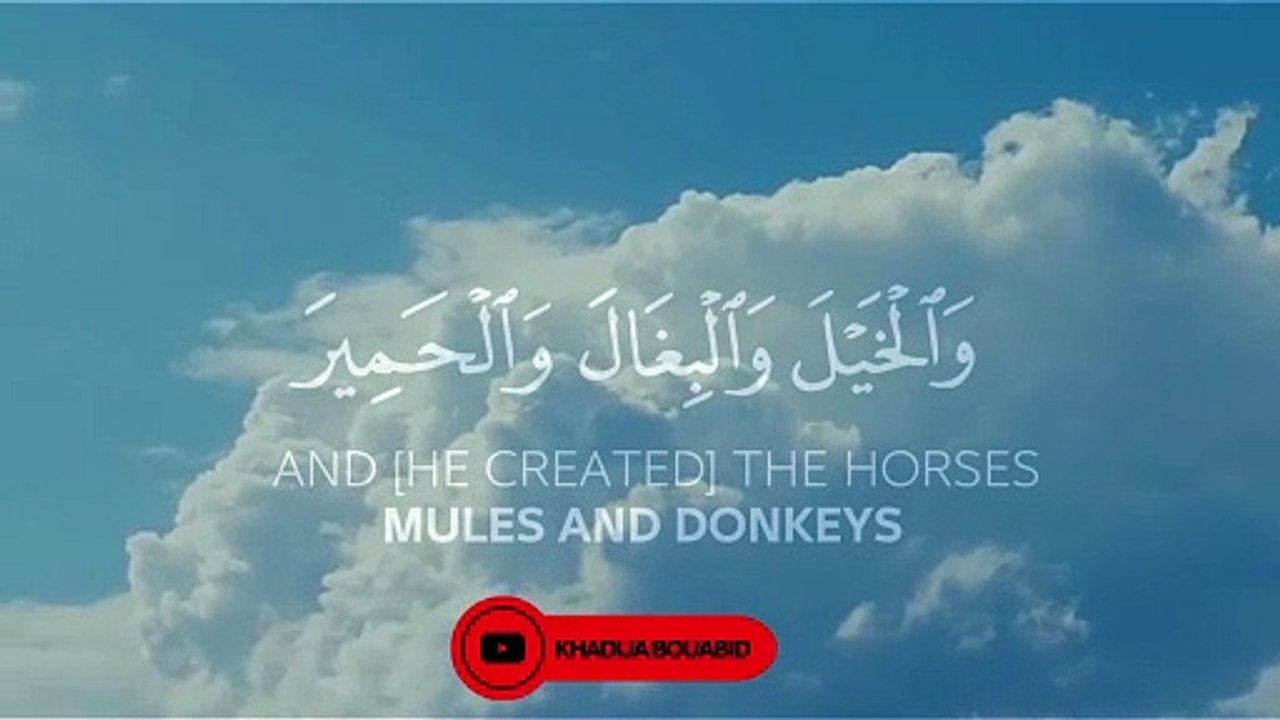 القران الكريم