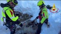 Ponte di legno, pecore intrappolate nella neve: salvate con l'elicottero