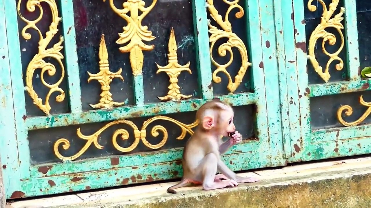 Moly worry about food stuck inside throat of baby, Moly try to open mouth and remove (720p_25fps_H264-192kbit_AAC)