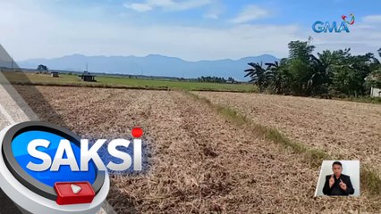 Task Force El Niño, muling bubuhayin | Saksi