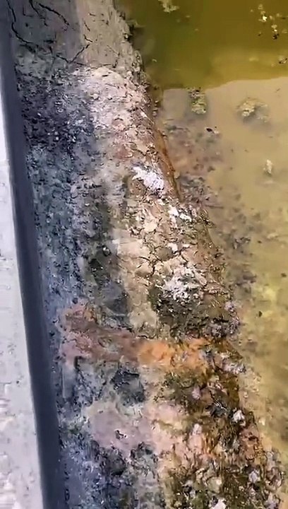 Beginilah cara mitra kelas online konsultasi ke saya❗Kolam tanah mah bebas